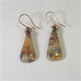 Crazy Lace Teardrop Gemstone Earrings