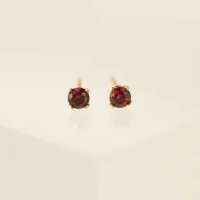 January Birthstone Gold-Filled Stud Earrings