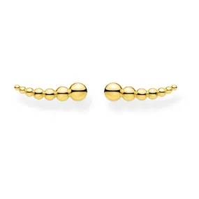 Yellow Gold Dot Ear Climbers H2156-413-39